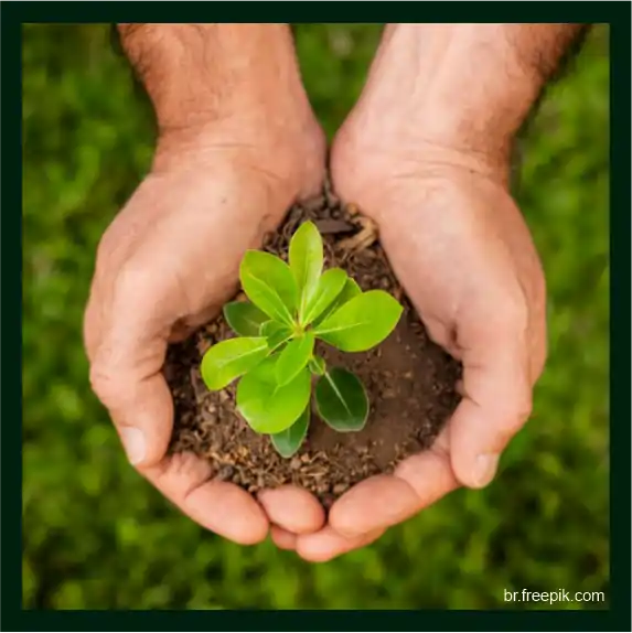 Preserve a Natureza