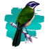 Trinca Ferro